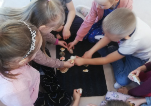 grupa dzieci układa wzór z muszelek